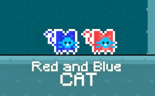 Image Red and Blue Cat